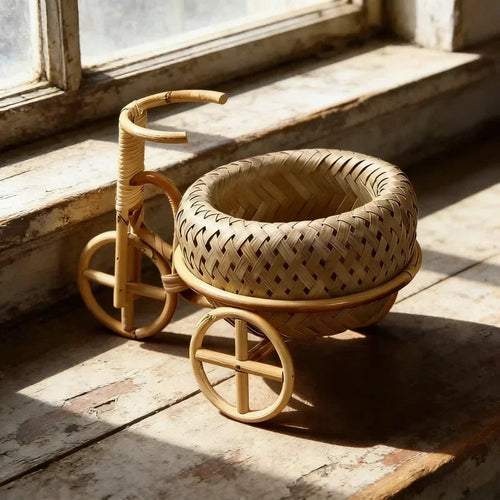 Bamboo Tricycle Decorative Basket — Dulune