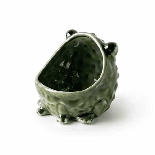 Ceramic Frog Decorative Bowl — Dulune